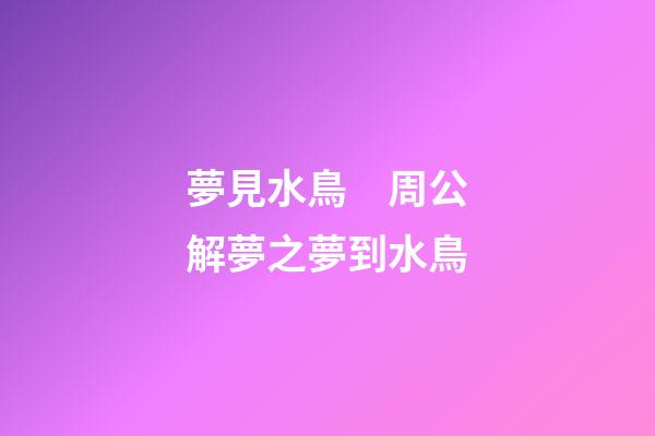 夢見水鳥　周公解夢之夢到水鳥